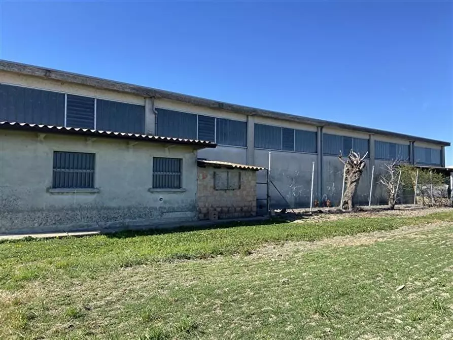 Immagine 4 di Terreno agricolo in vendita  in torricella a Sissa Trecasali