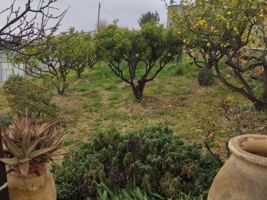 Immagine 5 di Villa in vendita  a San Remo