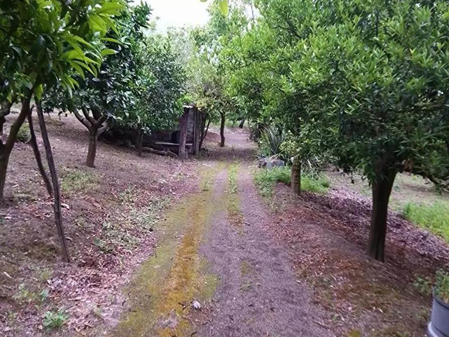 Immagine 4 di Terreno in vendita  in Via Sant'Eramo 10 a Sarno