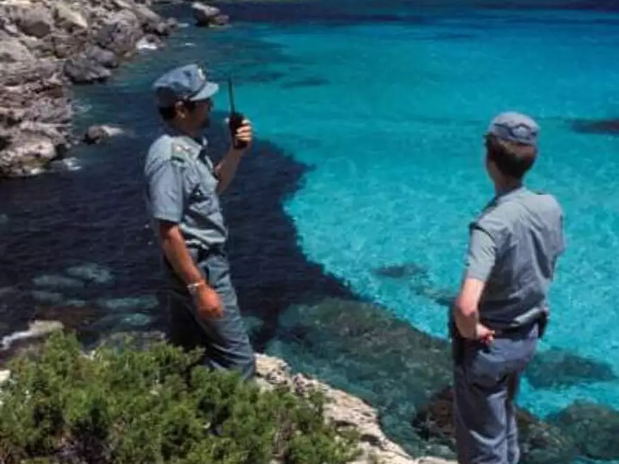Immagine 2 di Abitazione tipica in affitto  a Monteverdi Marittimo