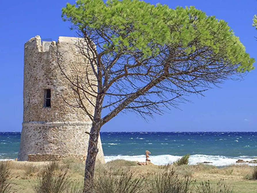 Immagine 9 di Appartamento in affitto  a Posada