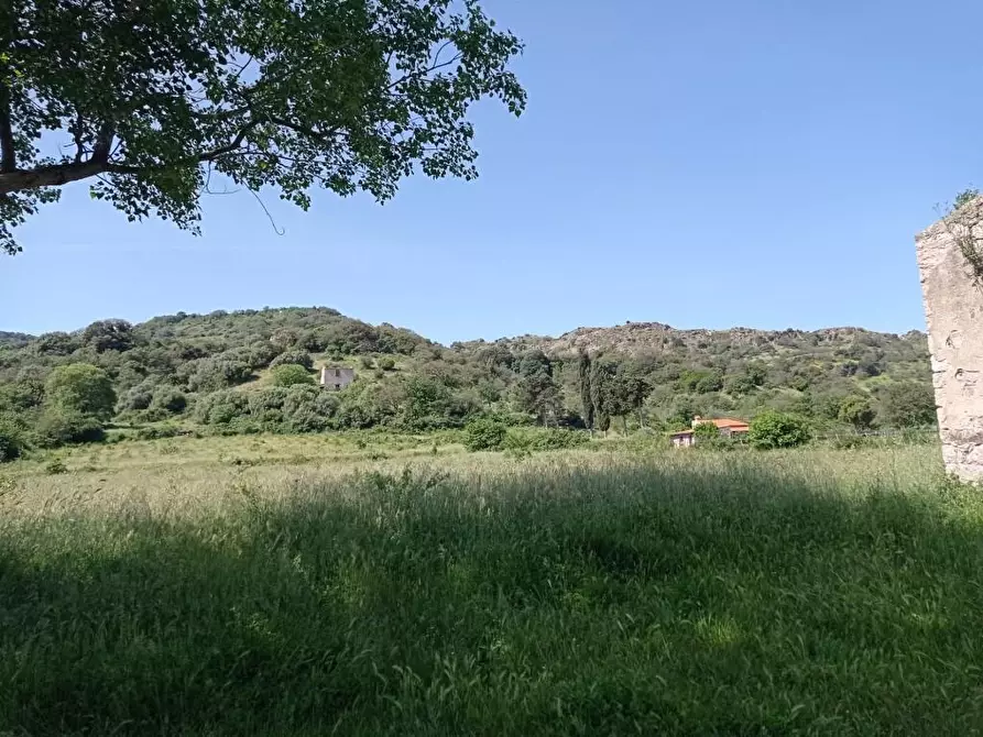 Immagine 21 di Terreno agricolo in vendita  in Matta e Padru snc a Bonorva