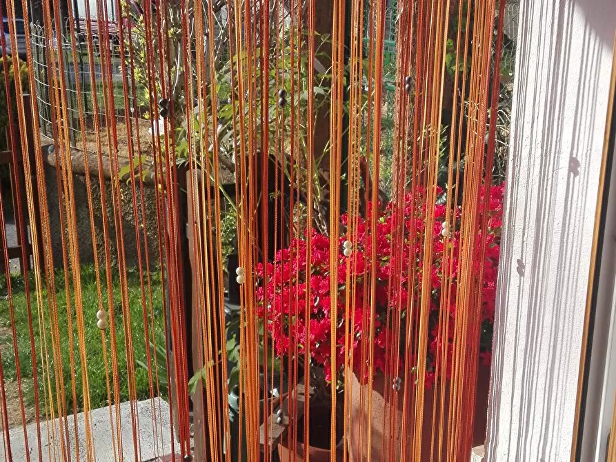 Immagine 5 di Casa semindipendente in vendita  a Dego