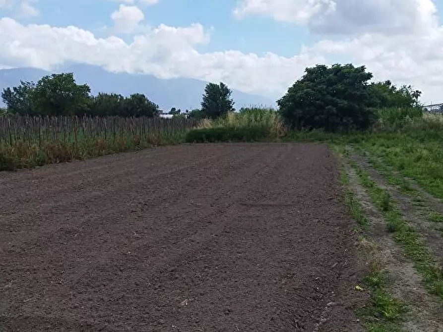 Immagine 3 di Terreno agricolo in vendita  in Via Fraina 1 a Sarno