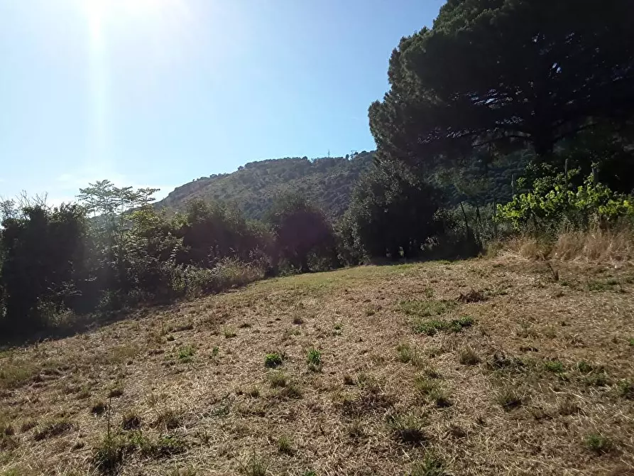 Immagine 3 di Terreno agricolo in vendita  in Via Bracigliano 1 a Sarno