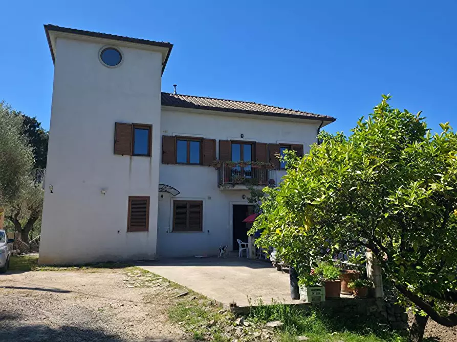 Immagine 1 di Casa indipendente in vendita  in via Olivelle 2 a Ascea