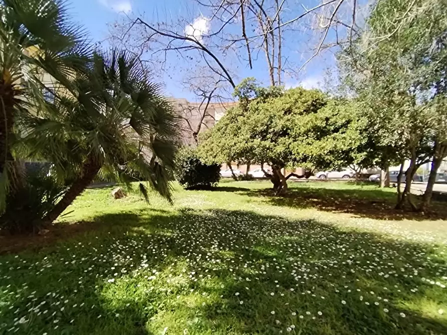 Immagine 31 di Camera in affitto  in Via dei gremi 18 a Sassari