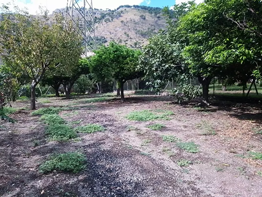 Immagine 8 di Terreno agricolo in vendita  in Via  San Vito 1 a Sarno