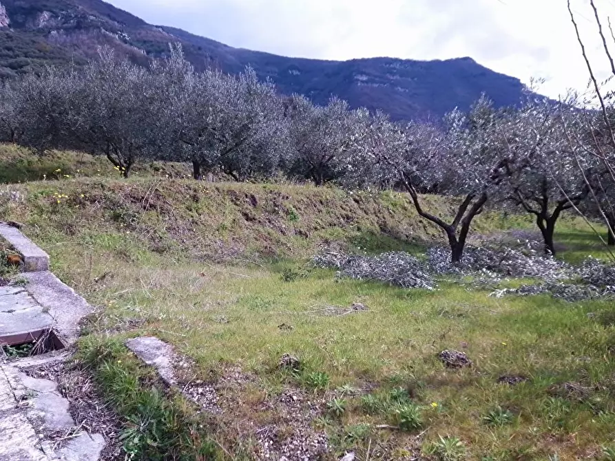 Immagine 6 di Terreno agricolo in vendita  in Episcopio 1 a Sarno
