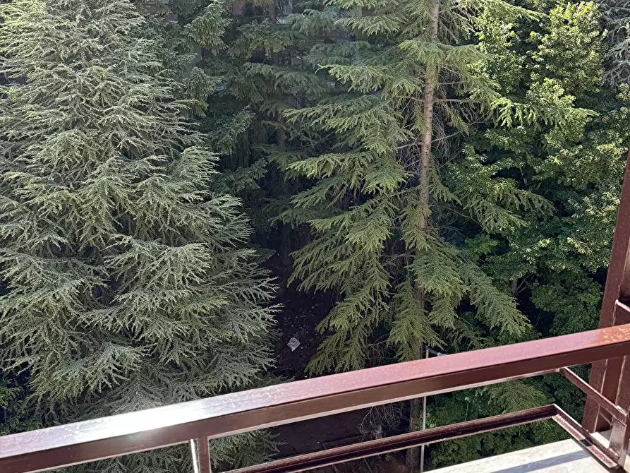 Immagine 22 di Appartamento in affitto  in via pienza parco belvedere  54 a Potenza