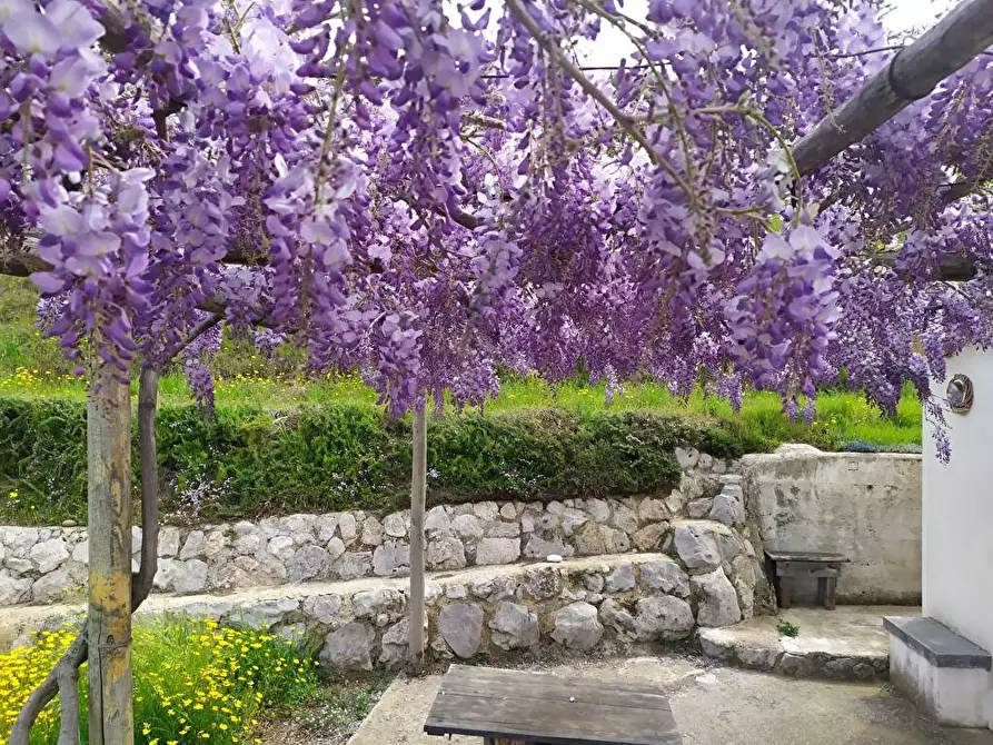 Immagine 3 di Terreno agricolo in vendita  in Via  Sant'Eramo 10 a Sarno
