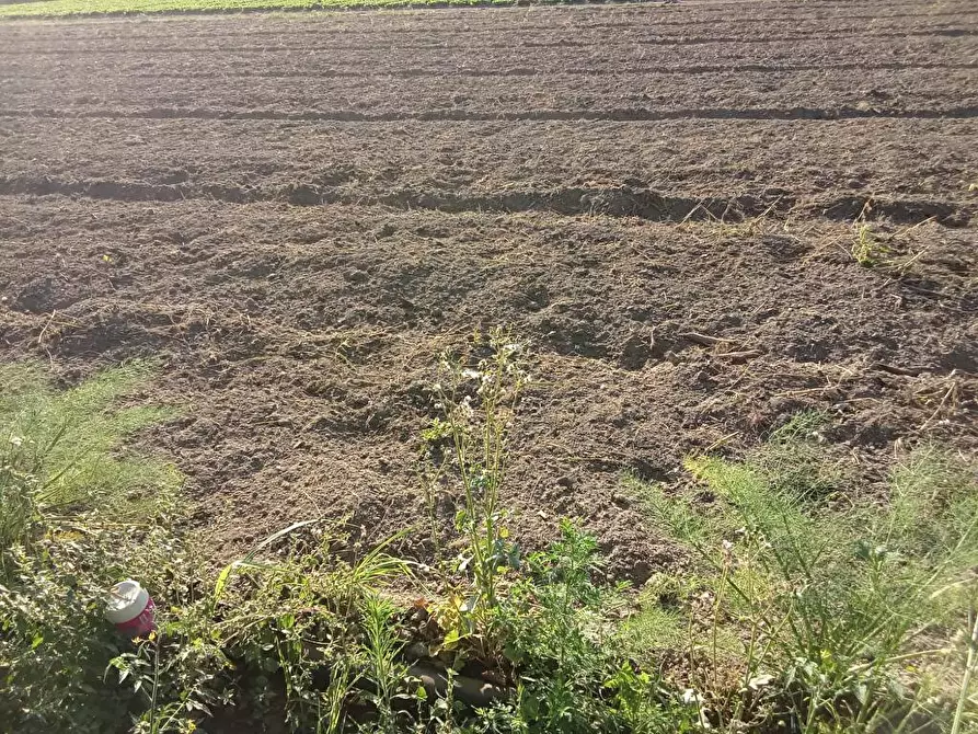 Immagine 2 di Terreno agricolo in vendita  in Via 2 Starzella 1 a Sarno