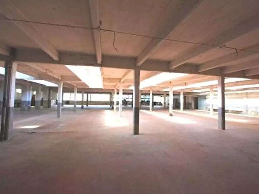 Immagine 4 di Capannone industriale in vendita  a Verolengo