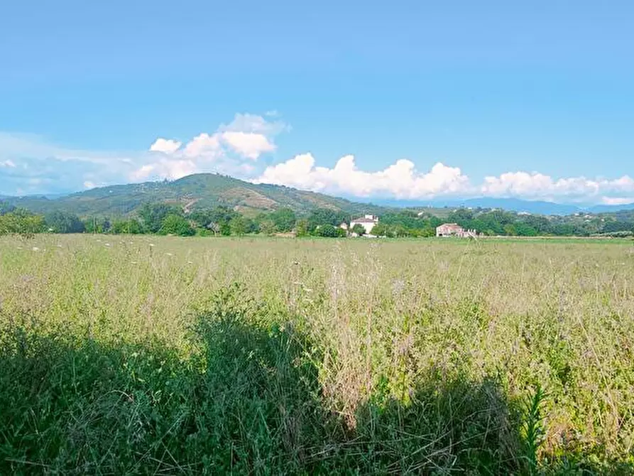 Immagine 5 di Terreno edificabile in vendita  a Casal Velino