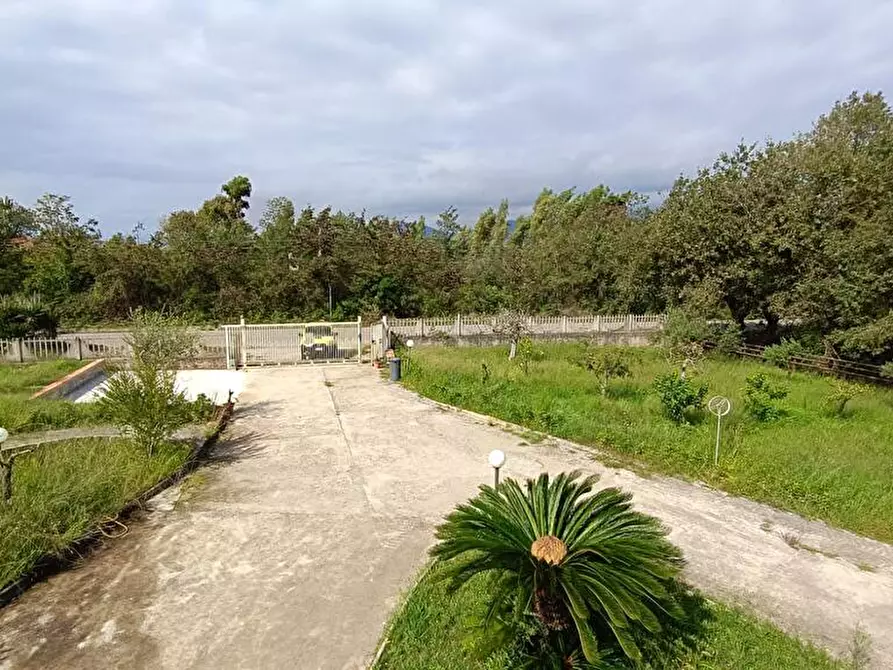 Immagine 8 di Casa indipendente in vendita  in Contrada Zampini  a Ascea