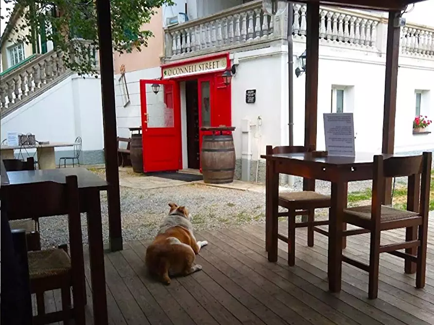 Immagine 5 di Villa in vendita  in Località Gallareto 16 a Piana Crixia