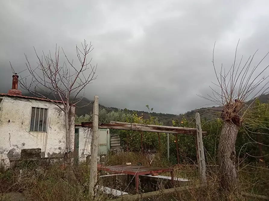 Immagine 8 di Terreno agricolo in vendita  in Via VillaVenere 1 a Sarno