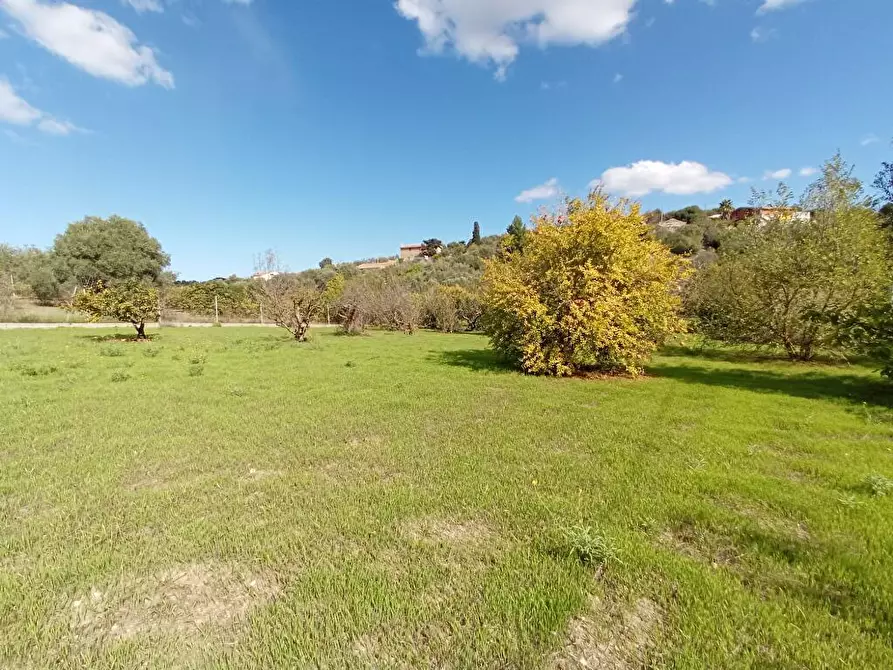 Immagine 4 di Terreno agricolo in vendita  in SV Segasidda Manna 14 a Sassari