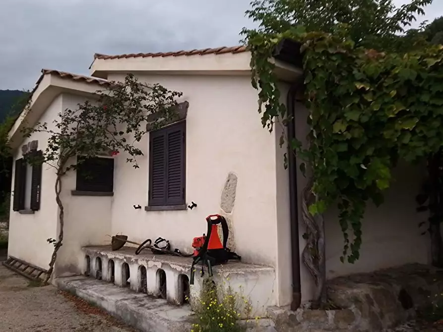 Immagine 15 di Terreno agricolo in vendita  in Via  Sant'Eramo 10 a Sarno