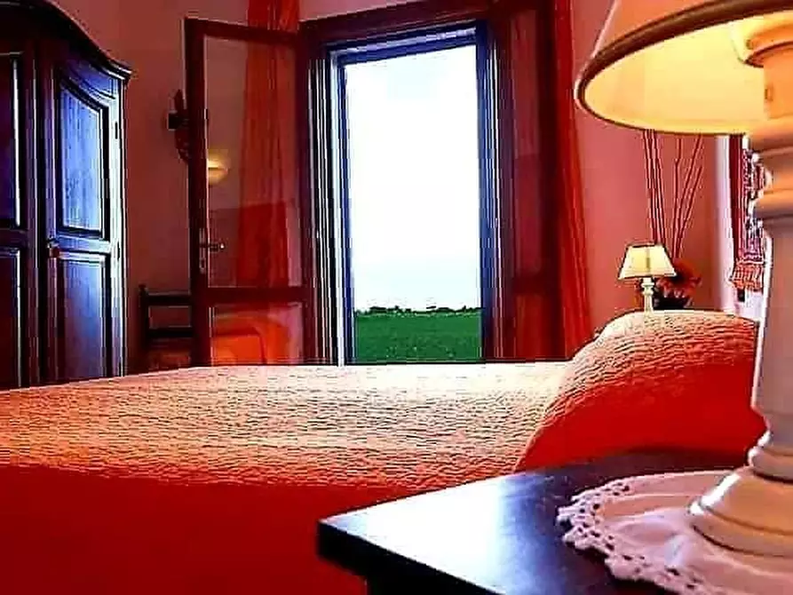 Immagine 8 di Appartamento in affitto  a Grosseto