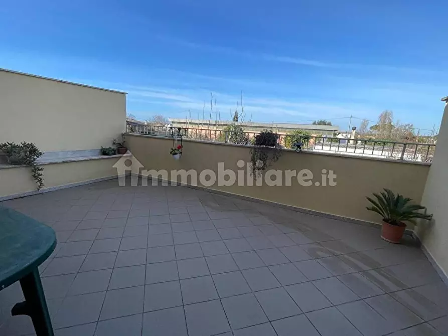 Immagine 7 di Appartamento in vendita  a Nettuno