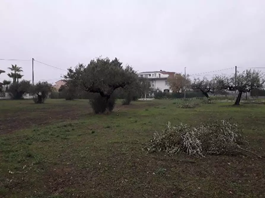 Immagine 9 di Terreno edificabile in vendita  in Via Faresi a Cepagatti