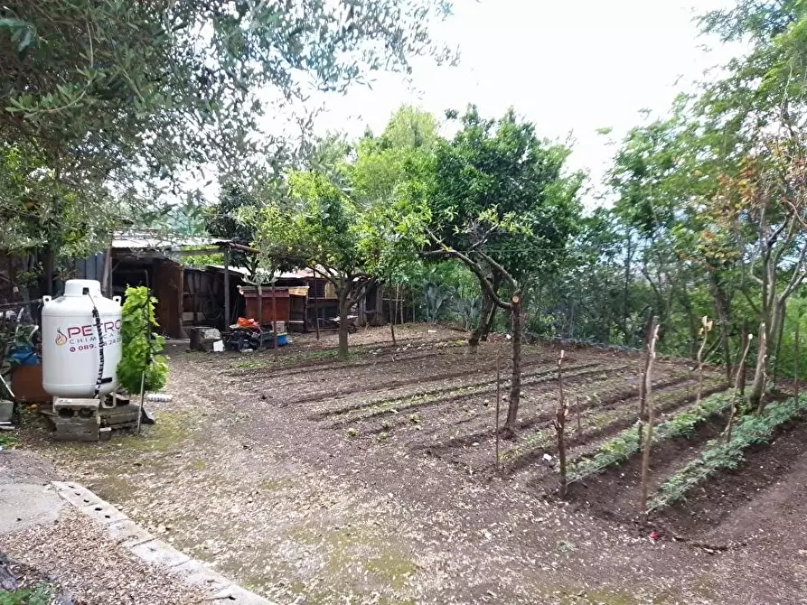 Immagine 9 di Casa semindipendente in vendita  in Via S.Vito 84 a Sarno