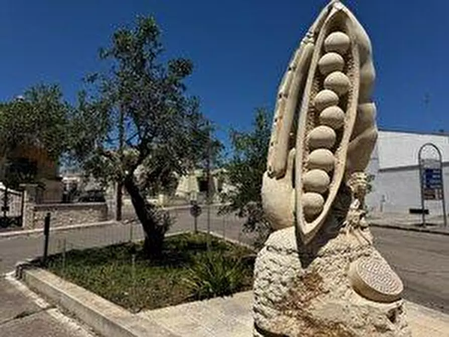 Immagine 13 di Monolocale in affitto  a Zollino