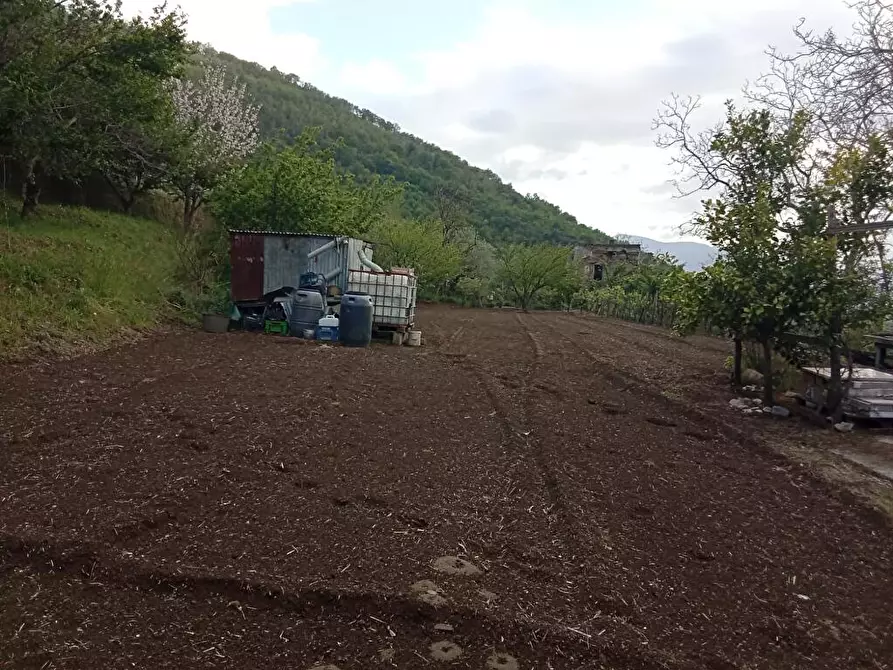 Immagine 2 di Terreno agricolo in vendita  in Via Sant'Eramo 1 a Sarno
