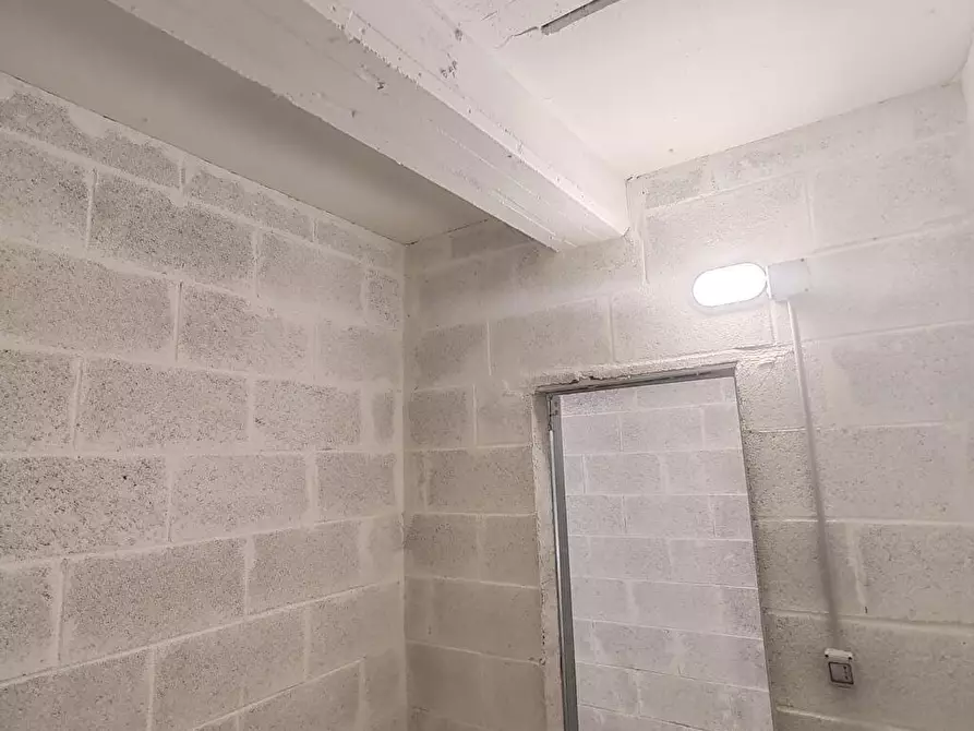 Immagine 3 di Cantina in affitto  in Via Antonio Vivaldi 44 a Albano Laziale