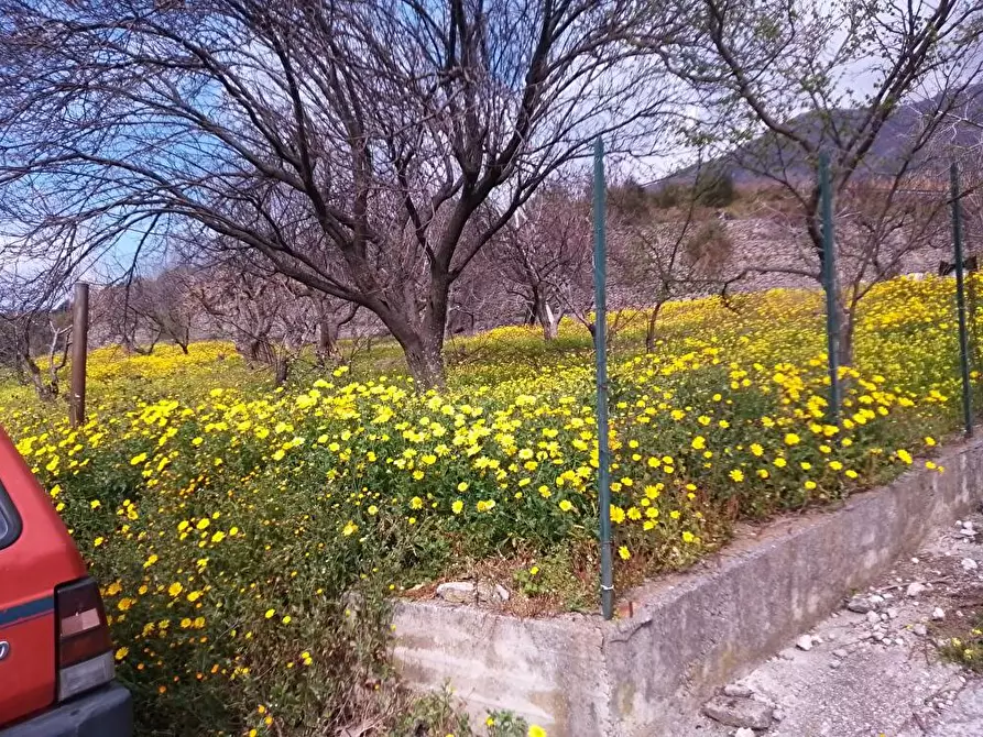 Immagine 6 di Terreno agricolo in vendita  in Via Bracigliano 1 a Sarno