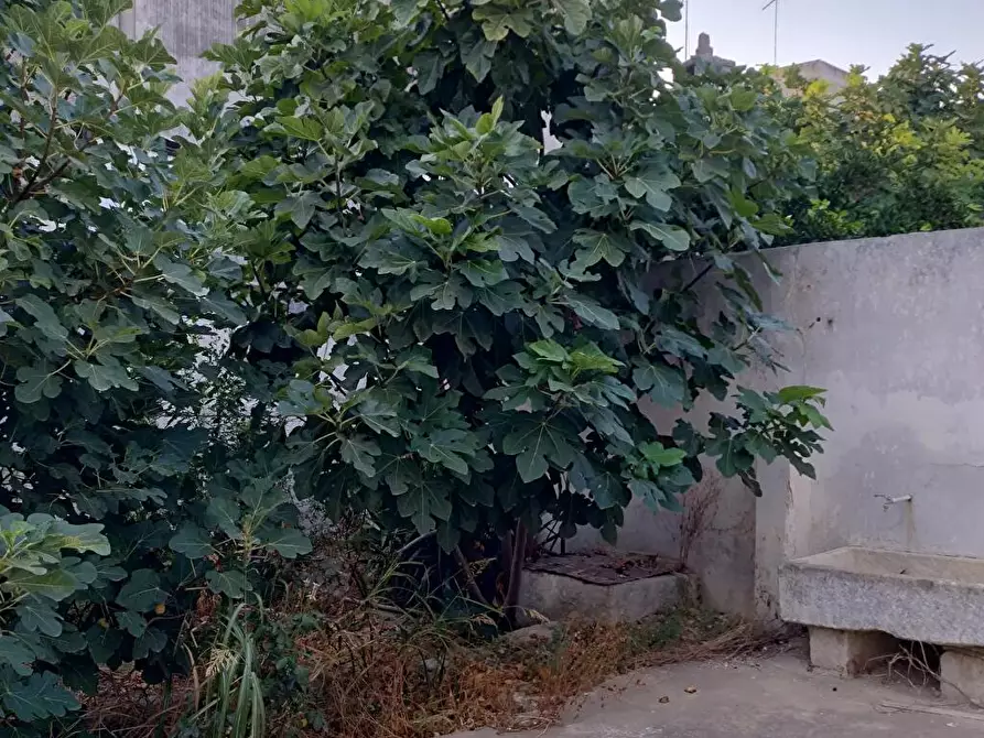 Immagine 6 di Casa indipendente in vendita  in Via Tito minniti 10/8/12 a Guagnano