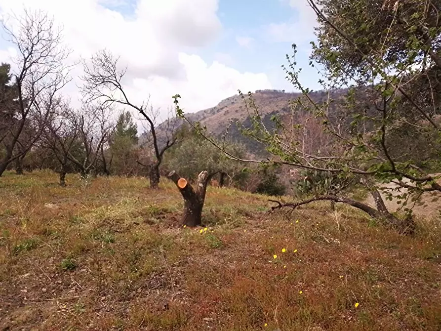 Immagine 4 di Terreno agricolo in vendita  in Via Bracigliano 1 a Sarno