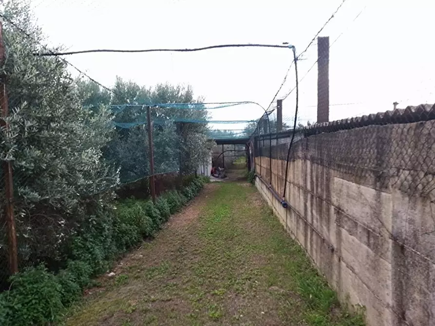 Immagine 6 di Terreno agricolo in vendita  in Via S.Vito 101 a Sarno