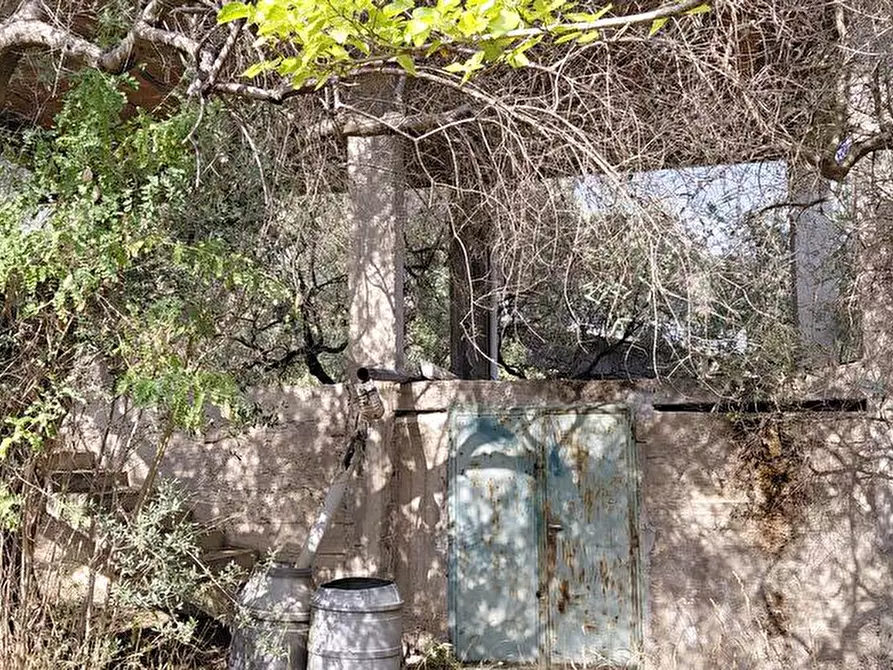 Immagine 6 di Terreno agricolo in vendita  in Via Bracigliano 1 a Sarno