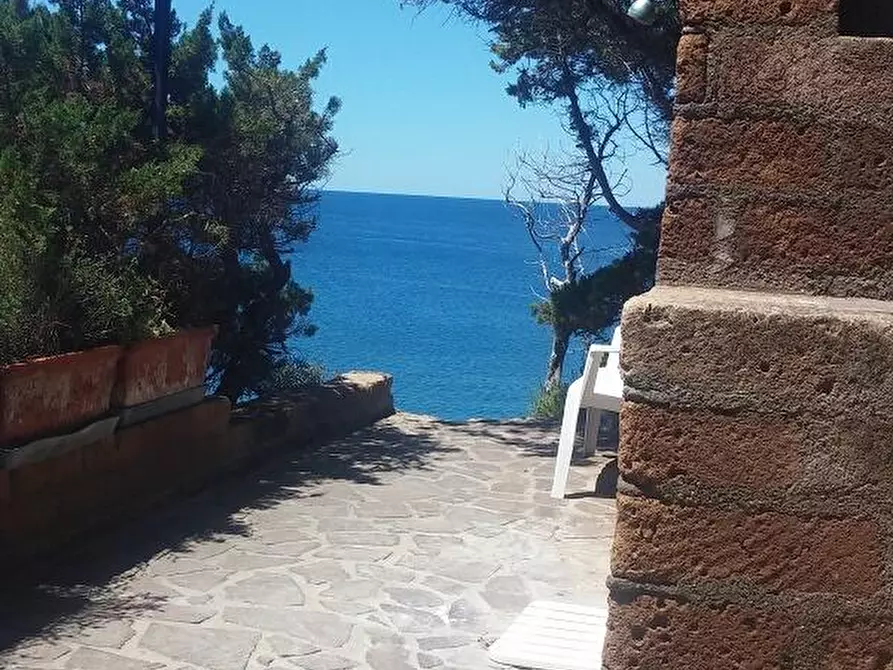 Immagine 6 di Appartamento in affitto  in vai aurelia 1083 a Rosignano Marittimo