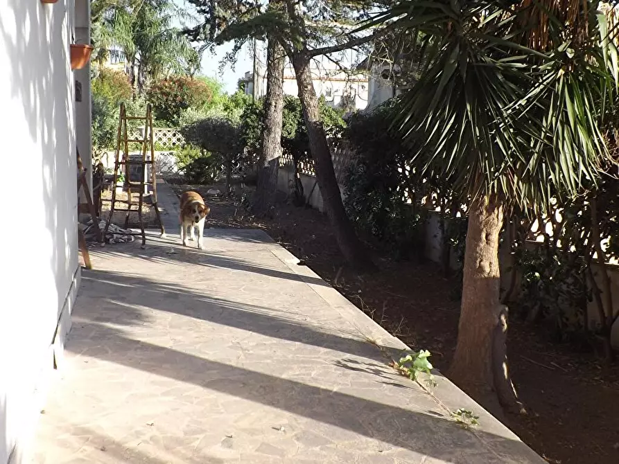 Immagine 39 di Appartamento in vendita  in Via San Carlo Borromeo 6 a Taranto