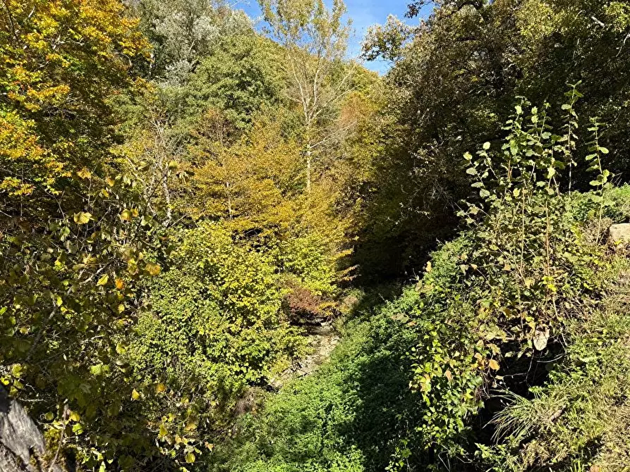 Immagine 17 di Rustico / casale in vendita  a Bardi