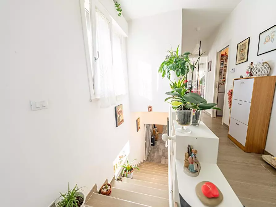 Immagine 3 di Casa indipendente in vendita  in Via Virgilio snc a Notaresco