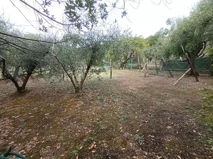 Immagine 2 di Appartamento in affitto  in Via per Camaiore  2000 a Lucca