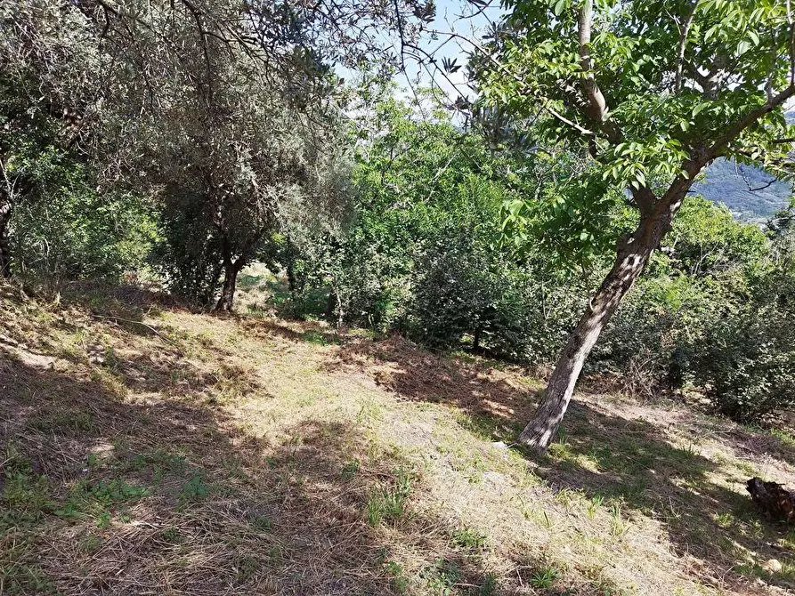 Immagine 5 di Terreno agricolo in vendita  in Via  Bracigliano 1 a Sarno