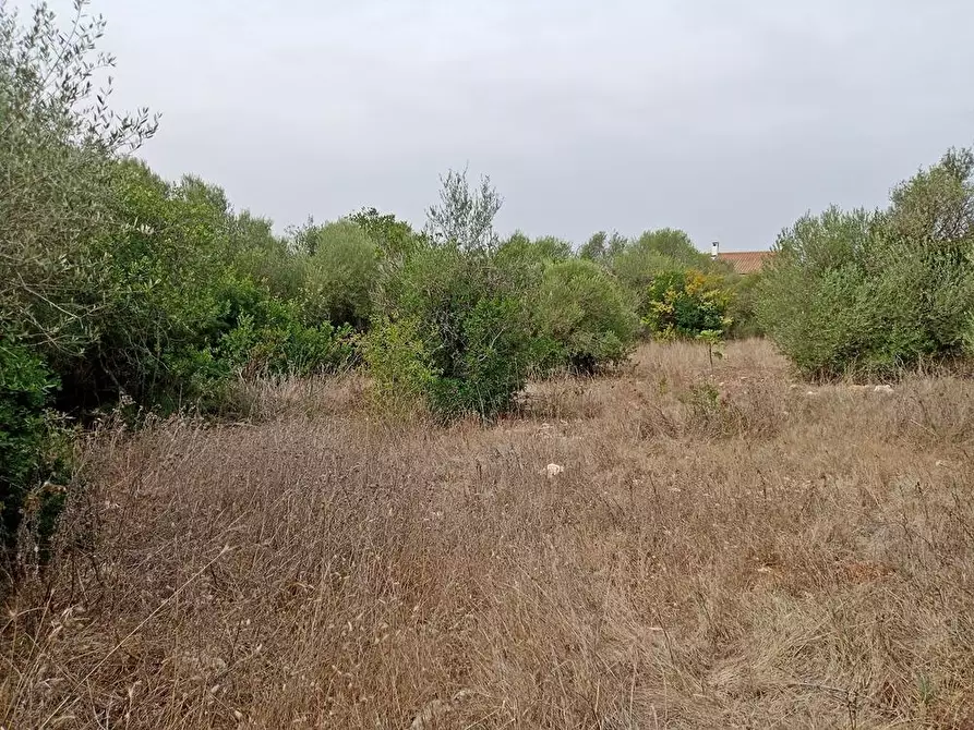Immagine 7 di Terreno agricolo in vendita  in Li Curuneddi Tronco B snc a Sassari