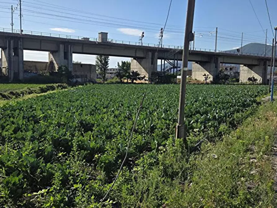 Immagine 3 di Terreno agricolo in vendita  in Via Sciulia 1 a San Valentino Torio