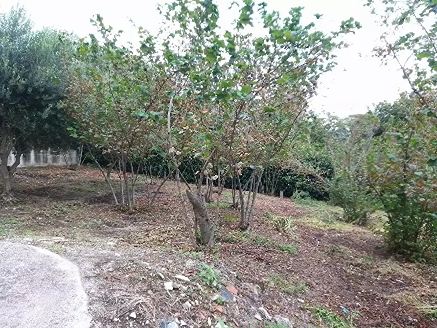 Immagine 1 di Terreno agricolo in vendita  in Via  San Vito 1 a Sarno