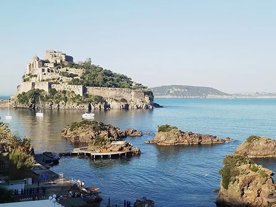 Immagine 9 di Attività commerciale in affitto  in Corso Angelo Rizzoli 35 a Lacco Ameno