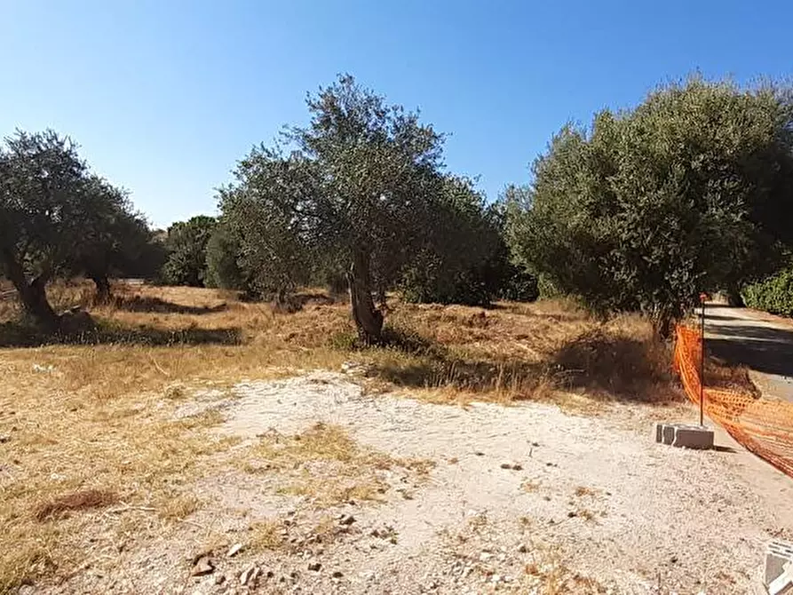 Immagine 5 di Lotti in vendita  in Via Milano snc a Sassari