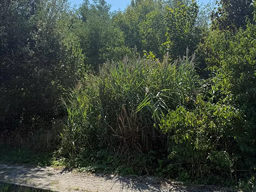 Immagine 6 di Terreno in vendita  a Borgo Val Di Taro