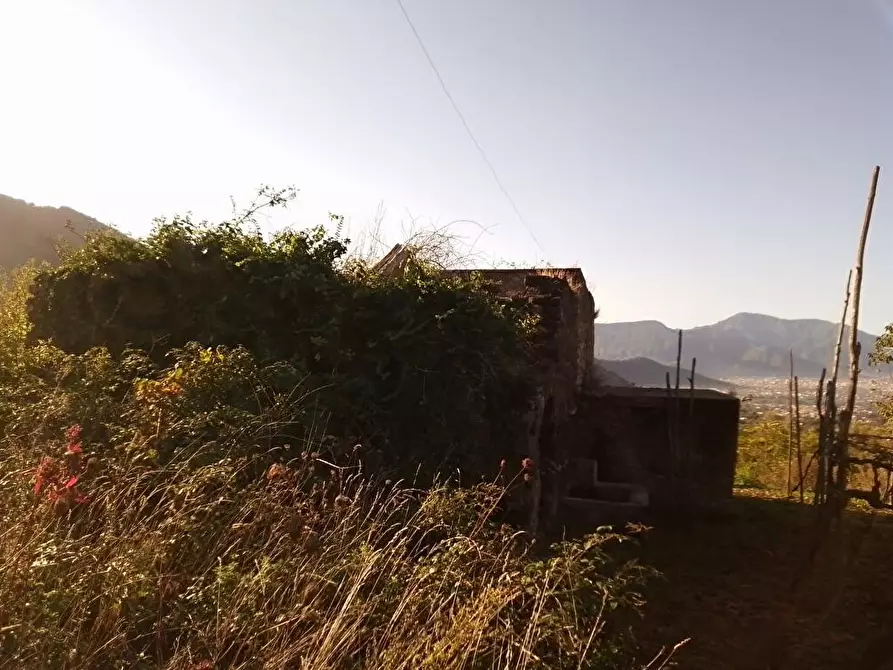 Immagine 3 di Terreno agricolo in vendita  in Via Villa Venere 1 a Sarno
