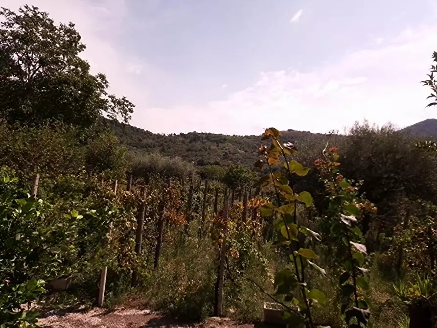 Immagine 10 di Terreno agricolo in vendita  in Via Villa Venere 1 a Sarno