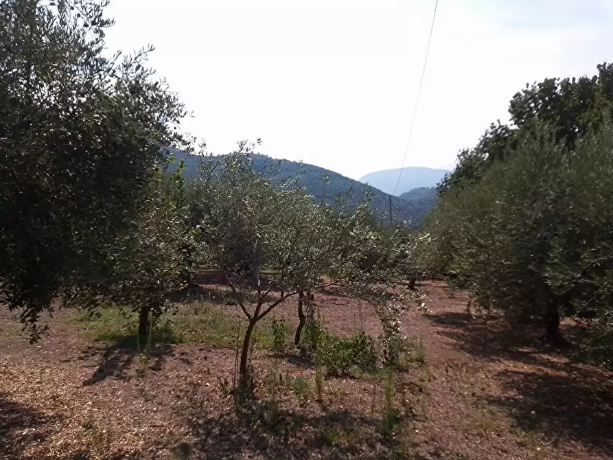 Immagine 6 di Terreno agricolo in vendita  in Via Villa Venere 1 a Sarno